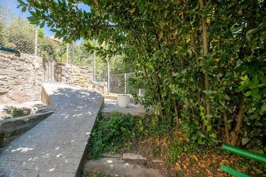 Casa Feli - Apartamento Con Jardin Privado En Los Pirineos Castiello de Jaca Zewnętrze zdjęcie