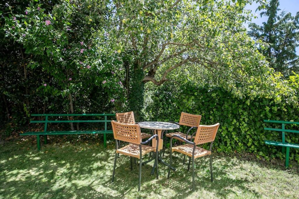 Casa Feli - Apartamento Con Jardin Privado En Los Pirineos Castiello de Jaca Zewnętrze zdjęcie